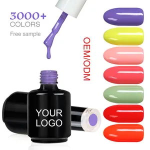 Esmalte de unha em gel oem, conjunto de cores do fornecedor 3000 + esmalte em gel colorido