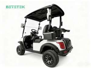Carrito de Golf Eléctrico Mini de 48V Personalizable, Venta al por Mayor, 2 Plazas, Carrito Eléctrico de Ocio con Opción Personalizada, Buggy de Golf Eléctrico - Product Image 5