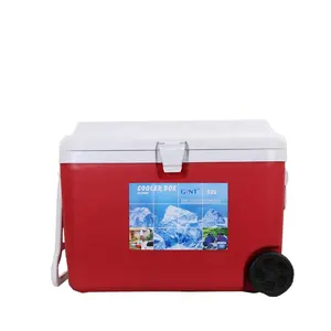 GINT 50L Lít Castrol Ice EPS Foam Cooler Box Chill Ngực