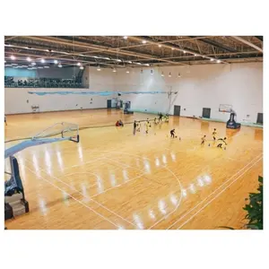 Fast Stable And Well Supported Basketball/badminton Training Hall Court Space Frame Steel Structure Gymnasium Building Roof