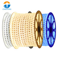Projet d'ingénierie de bâtiment décoration extérieure étanche Flexible IP65 DC220V 100 mètres de haut Lumen SMD 5050 Les bandes lumineuses