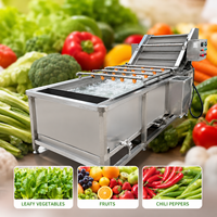304 Stainless Steel Vegetable Bubble Washer Machine High Efficiency Washing Equipment for Food Processing Plant
