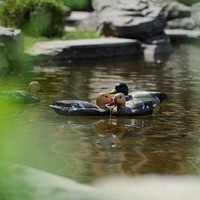 Leurres de canard gonflables de haute qualité leurres de canard de chasse en plastique pour la chasse