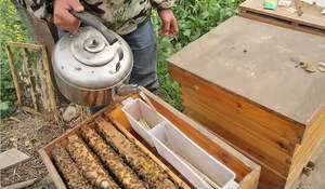 <span class=keywords><strong>Colmena</strong></span> Langstroth Premium Directo de Fábrica para Apicultores Profesionales, Colmenas de Madera - Product Image 3