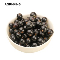 Hot Selling Iqf Frozen Blackcurrent Verse Prijzen In Bulkverpakking Groothandel Iqf Bevroren Fruit