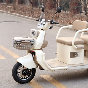 Tricycle électrique ZLT TP2C-E EEC L2e homologué pour la circulation en Allemagne, <span class=keywords><strong>France</strong></span>, <span class=keywords><strong>Espagne</strong></span> et sur le marché européen, facile à immatriculer - Product Image 3