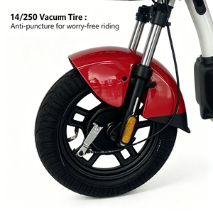 Bicicleta Eléctrica con Neumático de Vacío de 14 Pulgadas, Motor Silencioso de 350W, Suspensión Hidráulica Doble y Batería de Plomo-Ácido - Product Image 2