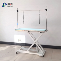 Tables de beauté pour chiens LZ, table d'examen vétérinaire à hauteur réglable avec LED, table de toilettage électrique à levage croisé pour animaux de compagnie