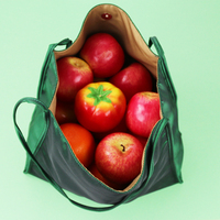 Sac fourre-tout personnalisé de couleur unie pour femmes, sac de voyage, sac de plage, fermeture à fermoir, doublure en polyester, utilisation quotidienne, léger