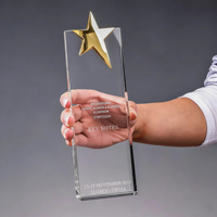 Vente en gros usine : Trophée en cristal vierge personnalisé, Plaque Couronne, Récompense Étoile, Écologique, Impression UV, Gravure Laser