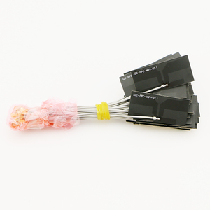 Antena Wifi de alta cantidad 2,4G, receptor inalámbrico BT FPC, antena PCB Flexible, antena flexible suave para telecomunicaciones - Product Image 1