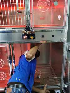 <span class=keywords><strong>Jaula</strong></span> infrarroja <span class=keywords><strong>de</strong></span> acero stantey <span class=keywords><strong>para</strong></span> <span class=keywords><strong>perros</strong></span>, <span class=keywords><strong>jaula</strong></span> <span class=keywords><strong>de</strong></span> oxígeno veterinario <span class=keywords><strong>para</strong></span> animales - Product Image 4