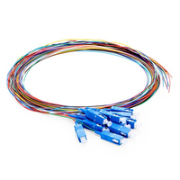 Cable de Fibra Óptica Pigtail SC/UPC de 12 Núcleos de Alta Calidad Apt en Oferta para FTTH