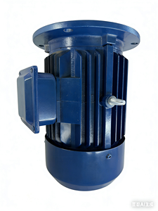 Motore Asincrono Trifase Completamente Chiuso con Montaggio a Flangia YE3-100L-4 Poli <span class=keywords><strong>3KW</strong></span>, 1440 Giri/min, 50 Hz, Personalizzabile - Product Image 5