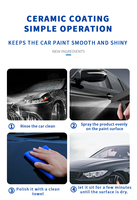 Revêtement céramique nano de qualité supérieure OEM, spray super hydrophobe, résistant aux pluies acides, anti-salissures, liquide de revêtement PPF pour voiture