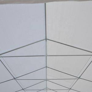 Tente canopée personnalisée pour voiture, 6x12m, livraison gratuite - Product Image 4