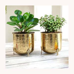 Pot de fleurs en métal unique, moderne, décoratif, élégant, nouvelle arrivée, design personnalisé pour la décoration de jardin - Product Image 6