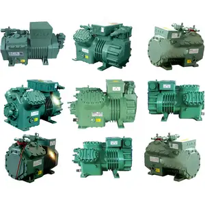 4CES-9 4CC-9.2 4TCS-8.2 4TES-9 Y BITZER Semi-hermetic Compressor 9HP Chiller Cold Storage Compressor