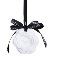Pendentif désodorisant écologique en plâtre parfumé pour armoire, voiture et maison, longue durée, cadeau