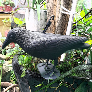 Estatua de Cuervo Negro Realista con Textura de Plumas en Relieve para Decoración de Jardín o Granja, Plástico PE Duradero - Product Image 5