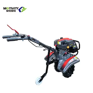 Economical and Practical Multi-functional Mini Power Tiller for Sugarcane Field