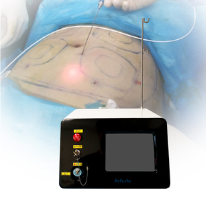 Endoláser 2026 de Última Generación 980nm 1470nm para Lifting Facial y Lipólisis, Eliminador de Grasa - Product Image 1