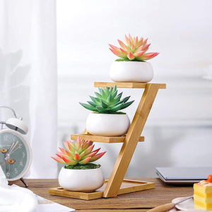 Macetas para suculentas con platillos de bambú de 3 niveles, soporte de soporte blanco para plantas suculentas, <span class=keywords><strong>maceta</strong></span> de cerámica decorativa oblato - Product Image 5