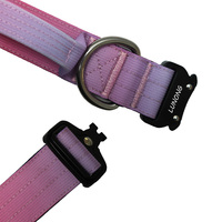 Collier pour chien en nylon rembourré personnalisé avec boucle en métal et anneau en D, design moderne, couleur et logo personnalisables, réglable et durable