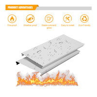 Système de baffles de plafond en aluminium de style moderne, couleur personnalisée, bande C pour les magasins, les bureaux, les gares à grande vitesse