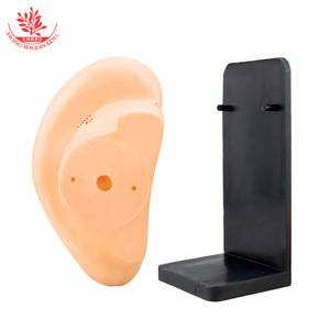 Modelo de acupuntura auricular de 22 cm de altura, modelo estándar de puntos de acupuntura auricular con grabado preciso de zonas de reflejo. Acupuntura auricular - Product Image 2