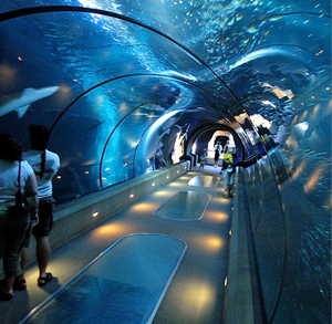 <span class=keywords><strong>Tunnel</strong></span> <span class=keywords><strong>sous</strong></span>-<span class=keywords><strong>marin</strong></span> acrylique personnalisé Prima, <span class=keywords><strong>tunnel</strong></span> <span class=keywords><strong>sous</strong></span>-<span class=keywords><strong>marin</strong></span> de piscine avec verre acrylique - Product Image 1