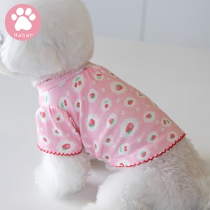 Mùa Hè Cổ Điển Phong Cách In Dâu Tây Teddy Váy Mềm Đàn Hồi T-Shirt Cho Pet Mèo Chó Nhật Bản Hàn Quốc Thời Trang Quần Áo Vật Nuôi - Product Image 5