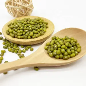 Bigger Size Cheap Top Quality Dried Green Mung Beans China Price Green Beans
