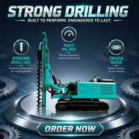 Pile driver hydraulique solaire de 4 à 6 m avec moteur diesel et châssis sur chenilles