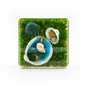 Биологический образец эхинодерма из смолы Бенджи, астероидный морской обитатель, коллекционный сувенир, украшение, декоративный элемент - Product Image 5