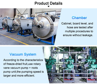 Industriële commerciële lyofilisator 50kg 100kg vacuümvriesdroogmachine voor voedsel, fruit, groenten, aardbeien