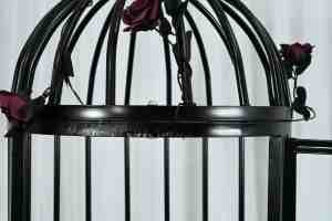 Drop shipping BDSM schiavo di addestramento oggetti di scena per appendere la gabbia di sospensione grande sala di addestramento flirtare gabbia per sesso umanoide altri prodotti sm - Product Image 6