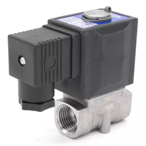 1Pcs Solenoïde Dc 24V 2sl03006b Nieuwe Gloednieuwe Originele Voorraad - Product Image 1