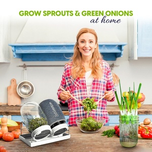 Kit di coltivazione Premium coperchi superiori 2 barattoli di vetro che coltivano cipolle verdi Broccoli fagioli di erba medica fioriere - Product Image 2