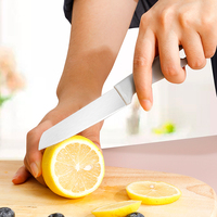 Groothandel Eco-vriendelijk duurzaam kleurrijk handvat roestvrijstalen fruit- en groentekeukenmes met kunststof handvat
