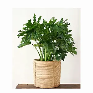 Rattan Planter Concrete Flower Basket Plant Pots without Saucer