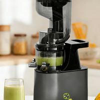 Extracteur de jus commercial à rendement élevé en jus, puissance élevée, extracteur de jus à mastication, extracteur de jus de fruits et légumes