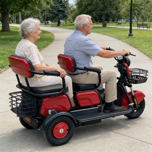 Triciclo Elettrico a 3 Ruote da 500W in Offerta Speciale, Due Posti, Carrozzeria Aperta, Autonomia 50-70km, per Anziani e Disabili, Scooter Elettrico a Tre Ruote - Product Image 3