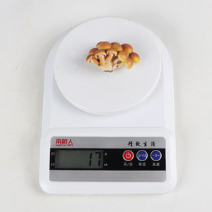 Modelo de comida de simulación para juegos de rol infantiles yxs, hongo zampón, artículo de exhibición para jardín de infantes, juguete de tiro. - Product Image 4