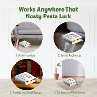 Piège à insectes domestique, lutte contre les parasites, pièges à colle jetables, insectes, fourmis, cafards