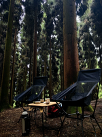 Table de camping IRONDONKEY moderne ultra-légère à double usage, portable et pliable en aluminium avec plateau en ABS