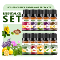 Coffret cadeau d'huiles essentielles biologiques naturelles 10ml extraits de plantes pour la relaxation des soins de la peau et les parfums d'intérieur