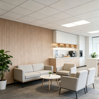 Panneaux acoustiques insonorisants GanYoung 48" X 24" Blancs 100% fibre de polyester NRC 0.8 Design moderne Garantie 1 an pour les hôtels