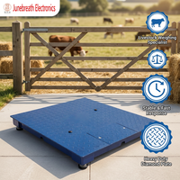 Báscula Electrónica de Plataforma de Alta Precisión con Pantalla Digital LED, Báscula de Piso de Acero Inoxidable para Conteo/Pesaje/Uso Animal
