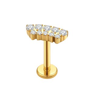 Pendientes de circonita de <span class=keywords><strong>doble</strong></span> fila hipoalergénicos al por mayor para mujer, aretes de titanio chapados en oro de moda para bodas y festividades, <span class=keywords><strong>piercing</strong></span> de <span class=keywords><strong>nariz</strong></span>. - Product Image 5
